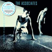 CD THE ASSOCIATES The Affectionate Punch