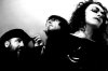 Interview THE MARCH VIOLETS I am pretty dark and twisted, and I have a dark sense of humour, but I also like some bright fluffy things and lots of different styles of music.