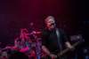 THE OFFSPRING - Lokerse Feesten