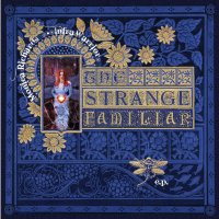 CD INFRAWARRIOR / MONICA RICHARDS The strange familiar EP