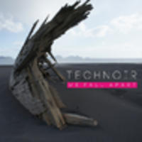 CD TECHNOIR We fall apart