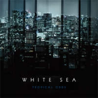 CD WHITE SEA Tropical Odds