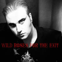 CD WILD ROSES FOR THE EXIT Wild Roses For The Exit