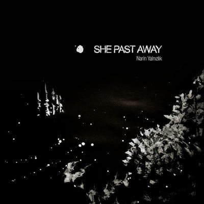 New material by She Past Away